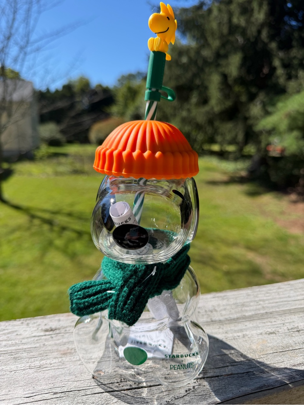 Starbucks x Peanuts The Snoopy Glass Cup